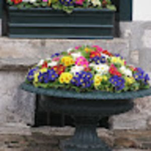 Meet your Posher, Pat